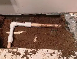 咸宁测漏水哪家好