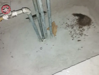 咸宁卫生间测漏水价格明细